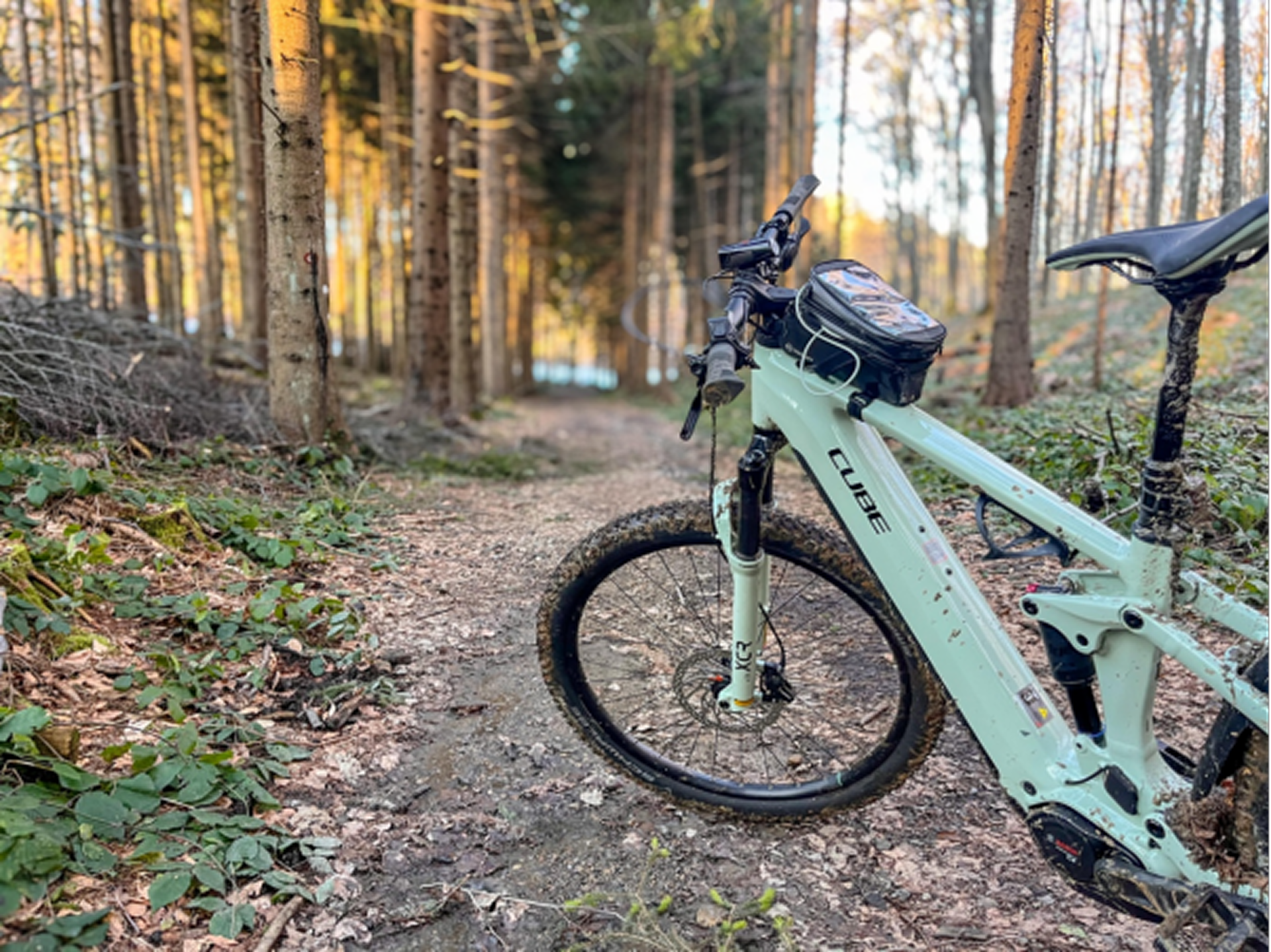 E-bike