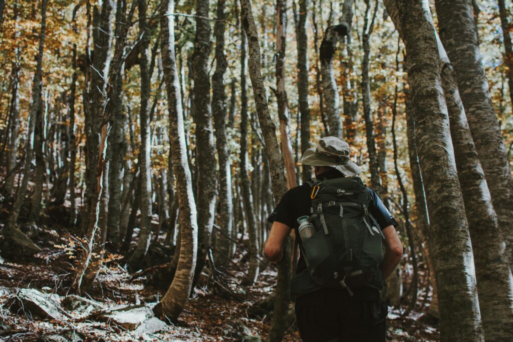 A lone backpacker hiking through a dense autumn forest, captured from behind.