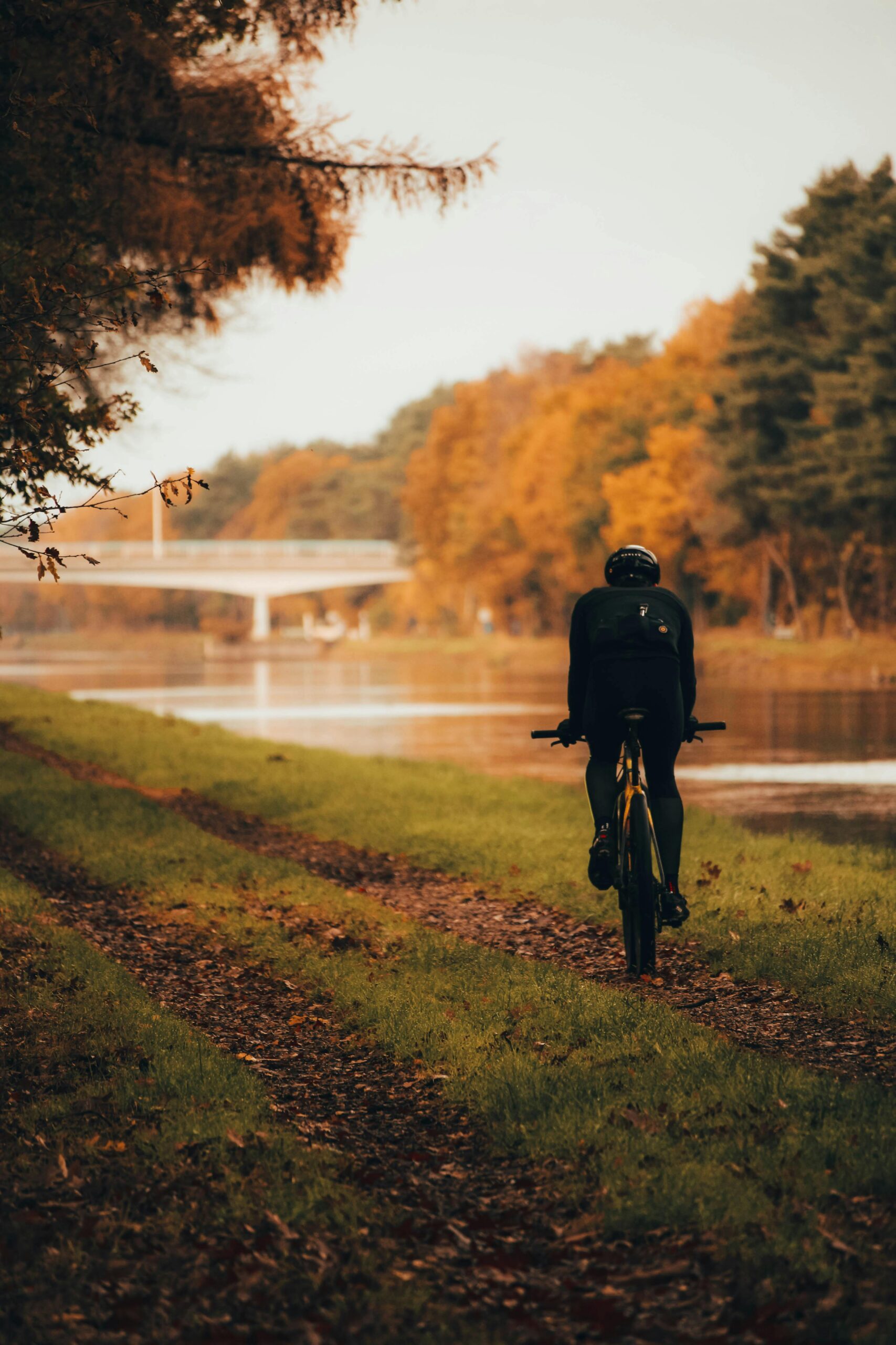 A cyclist biking along a riverbank lined with autumn foliage under a gentle sky.