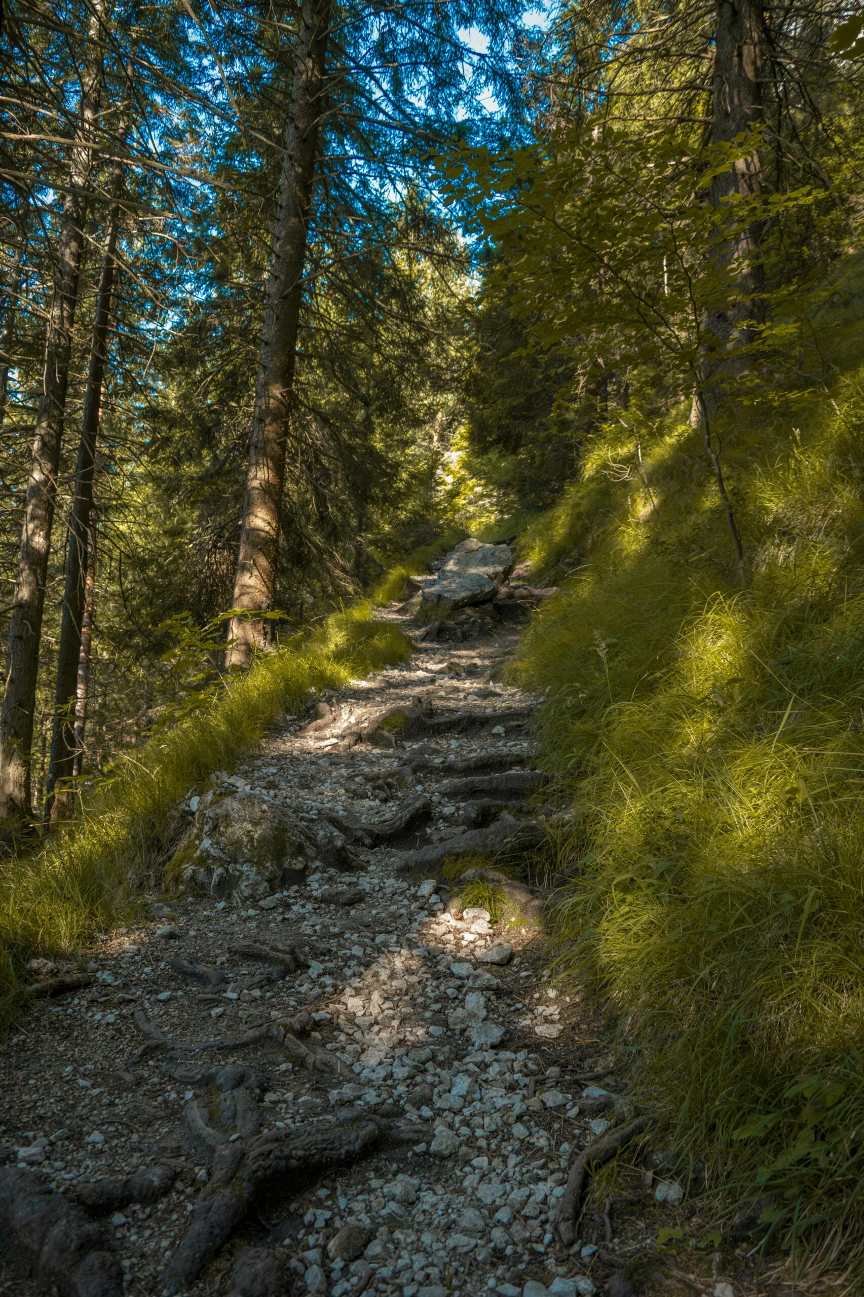 Hiking trail